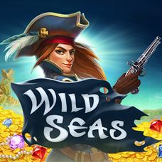 Wild Seas Wild Seas